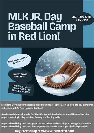 MLK Jr Baseball Camp