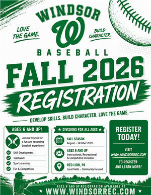 fall baseball flyer